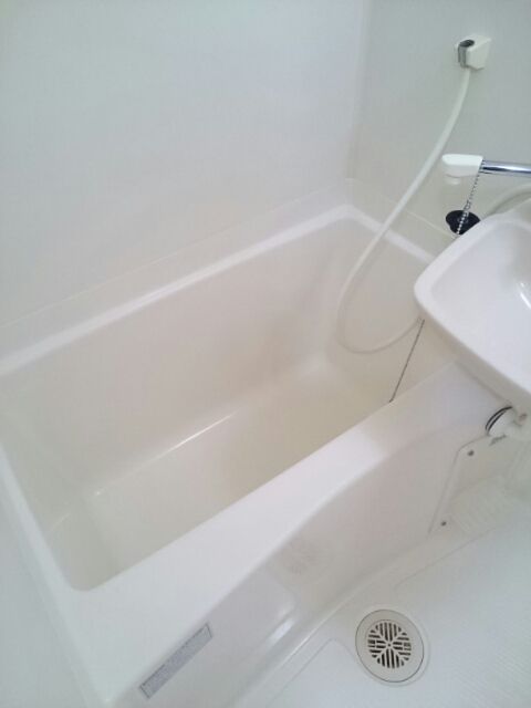 �y�o�X�z�@