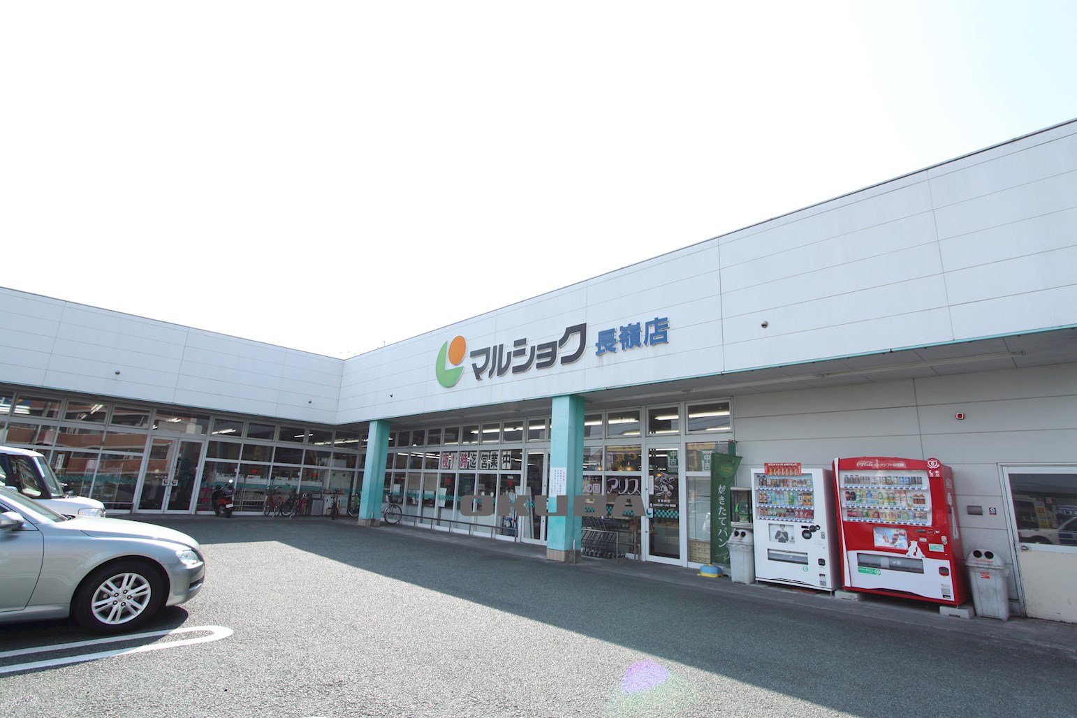 �y���Ӂz�@�}���V���N ����X 954m