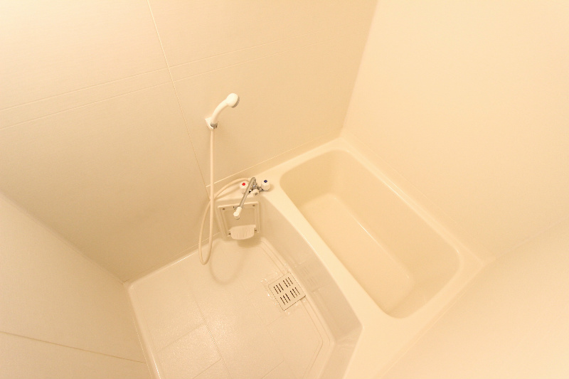 �y�o�X�z�@