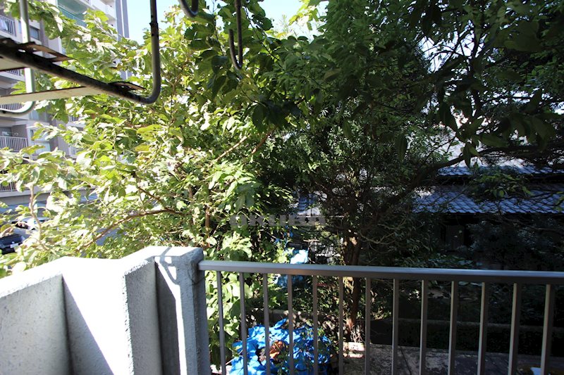 �y���]�z�@