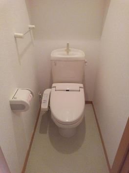 �y�g�C���z�@