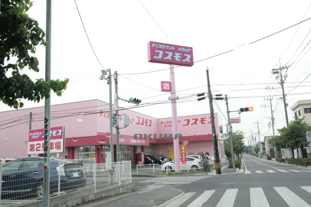 �y���Ӂz�@�f�B�X�J�E���g�h���b�O�R�X���X�@�H�ÓX 305m