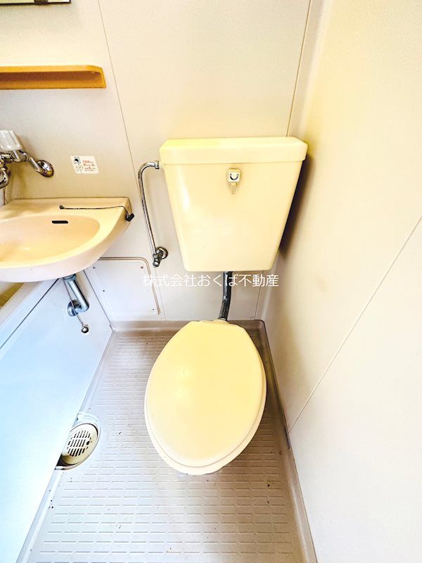 �y�g�C���z�@