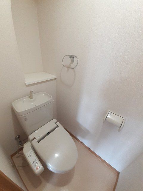 �y�g�C���z�@