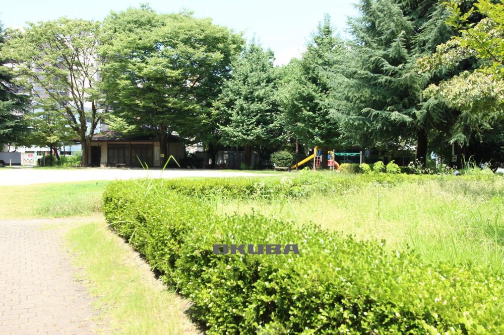 �y���Ӂz�@���̌����� 248m