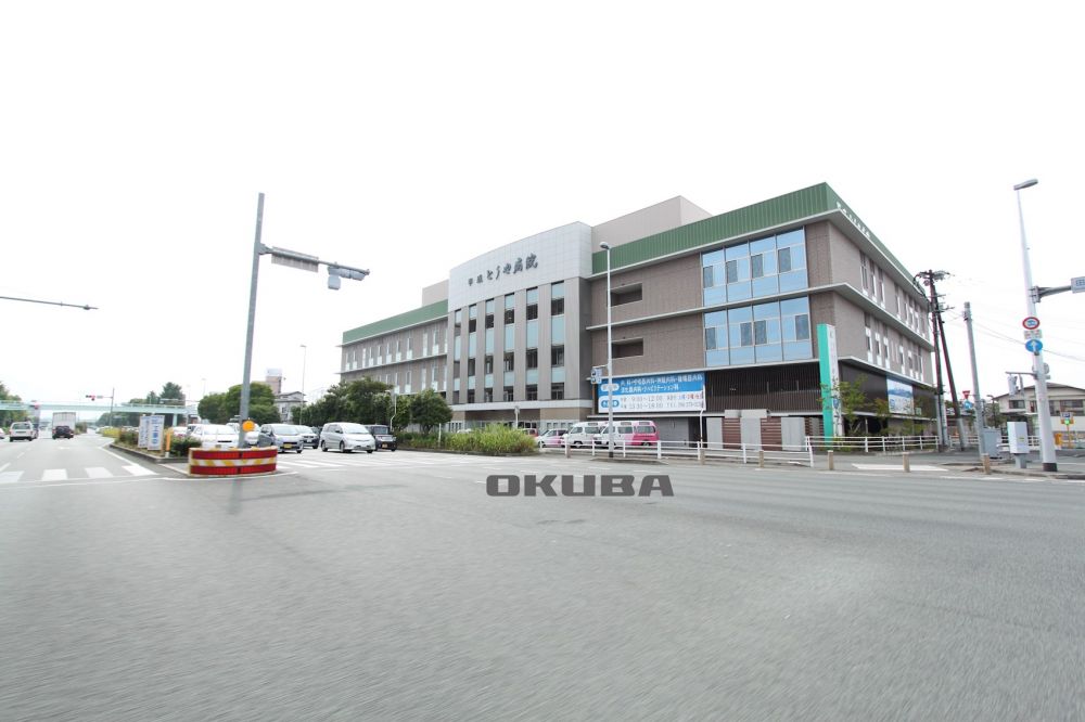 �y���Ӂz�@�����Ƃ���a�@ 219m