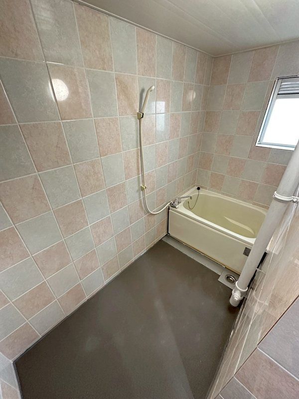 �y�o�X�z�@