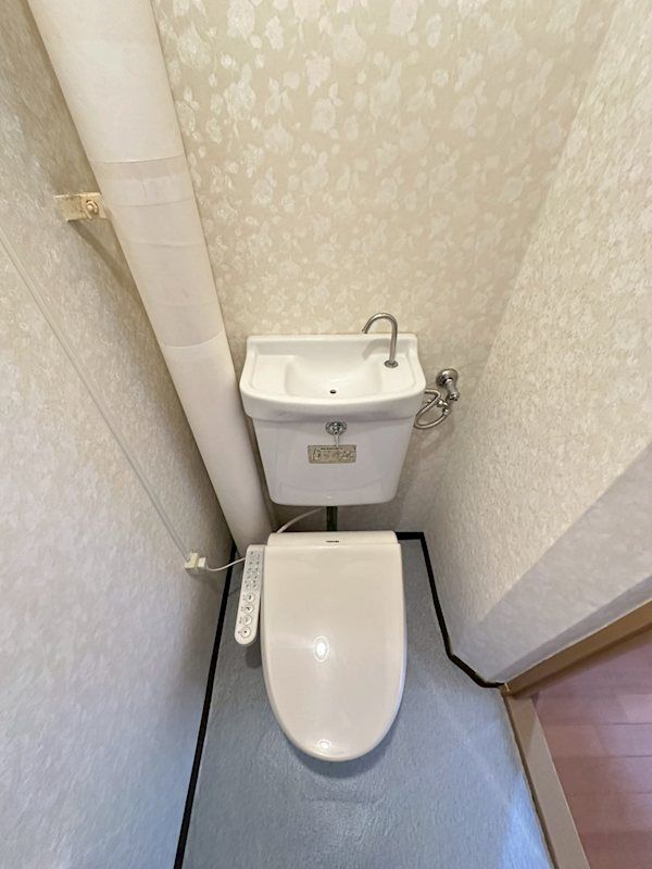 �y�g�C���z�@