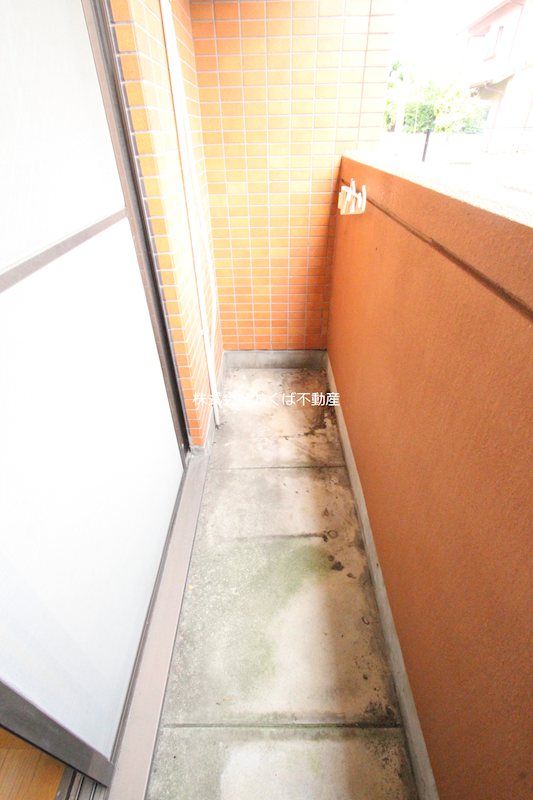 �y�x�����_�z�@